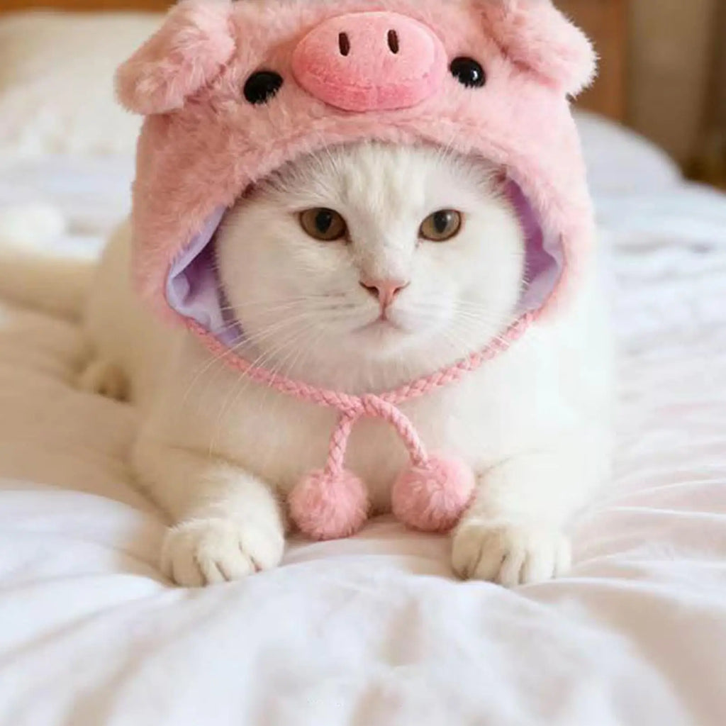 Cappelli Divertenti per Animali per Gatti, Cani e Piccoli Animali.