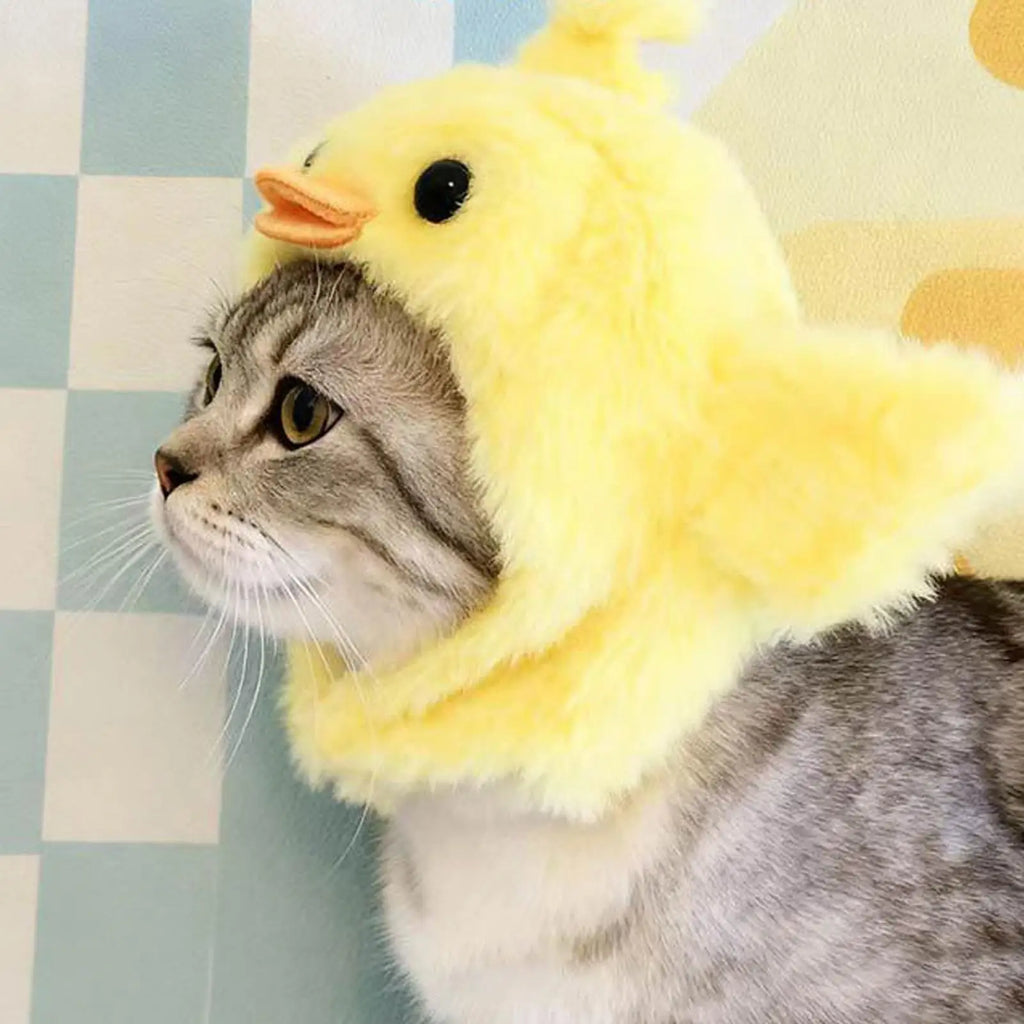 Cappelli Divertenti per Animali per Gatti, Cani e Piccoli Animali.