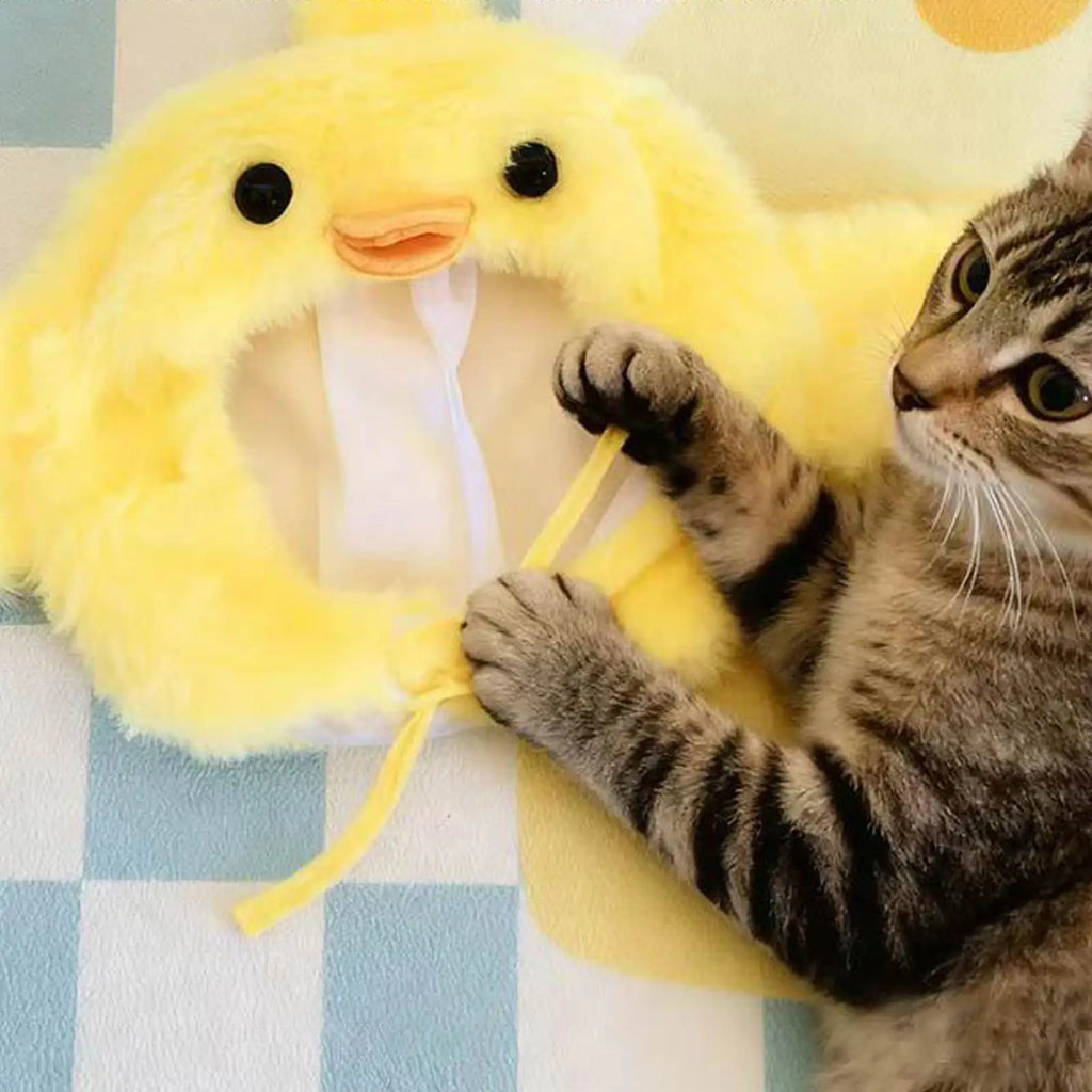 Cappelli Divertenti per Animali per Gatti, Cani e Piccoli Animali.