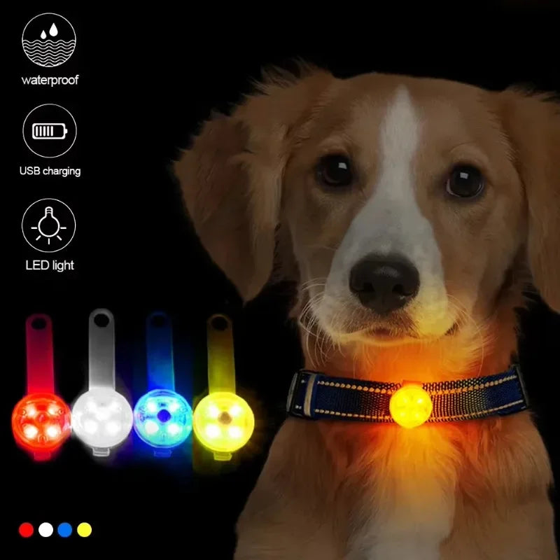 Collare per cani, collare antifuga, luce di sicurezza LED impermeabile, collare LED ricaricabile tramite USB