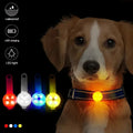 Collare per cani, collare antifuga, luce di sicurezza LED impermeabile, collare LED ricaricabile tramite USB