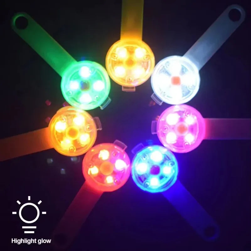 Collare per cani, collare antifuga, luce di sicurezza LED impermeabile, collare LED ricaricabile tramite USB