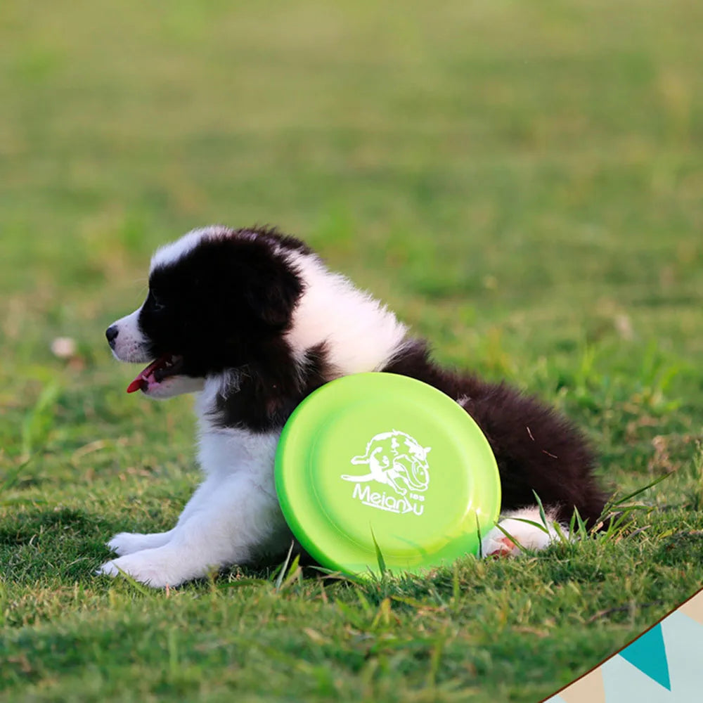 Disco per Addestramento Cani - Gioco Resistente per Cani Cuccioli e Adulti, Giocattolo Leggero Facile da Prendere, Forniture Essenziali per Animali