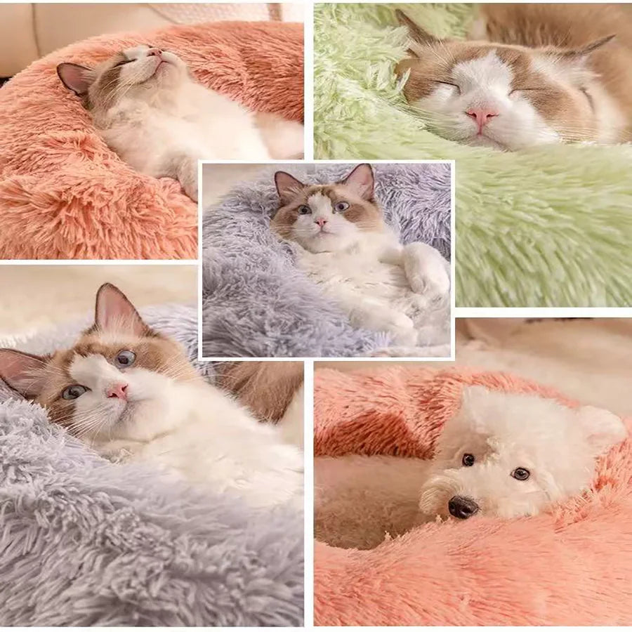 Morbido cuscino per gatti